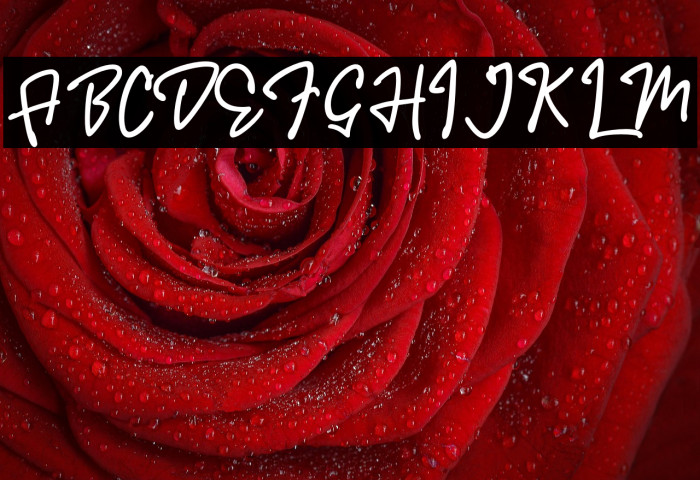 Donthank DEMO-Regular Example 1