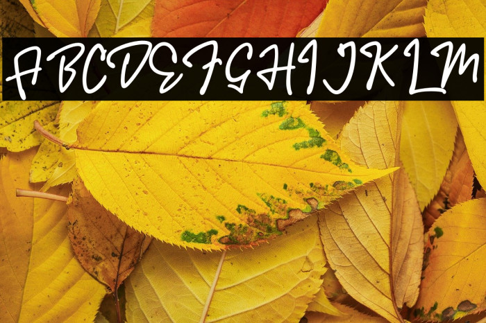 Donthank DEMO-Regular Example 2