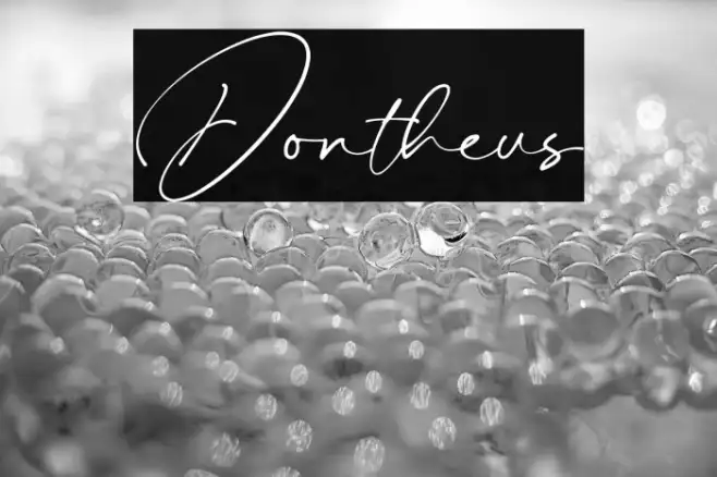 Dontheus Example 1