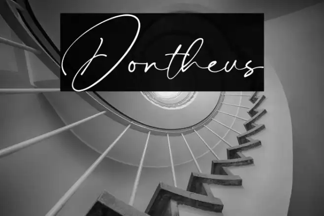Dontheus Example 2