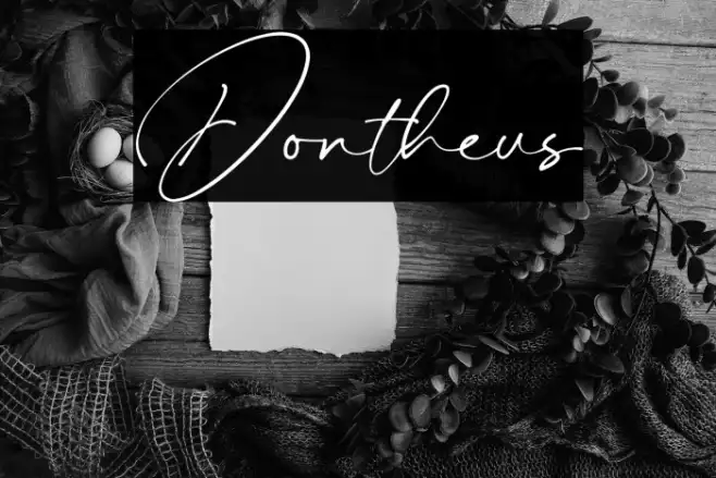 Dontheus Example 3
