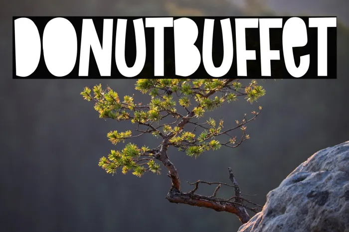 Donut Buffet Example 3