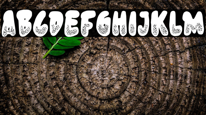 Donut Know Example 2