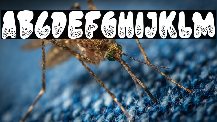 Donut Know Example 1