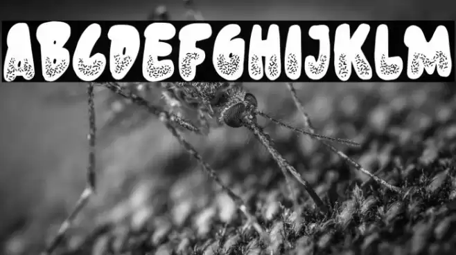 Donut Know Font examples