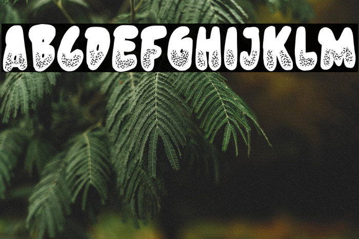 Donut Know Example 2