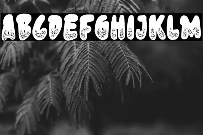 Donut Know Font examples