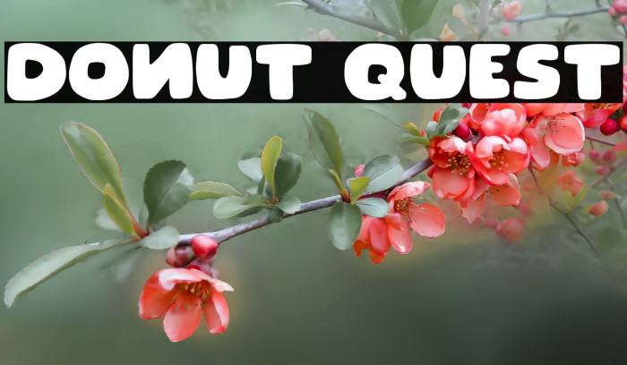 Donut Quest Font examples