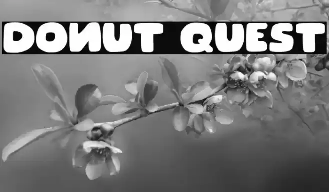 Donut Quest Font examples