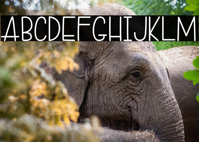 DonutCandy-Regular Example 1