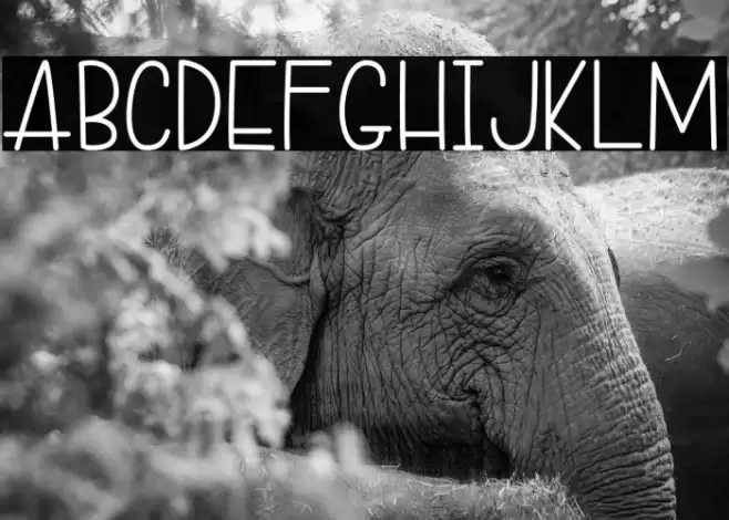 DonutCandy-Regular Schriftart examples