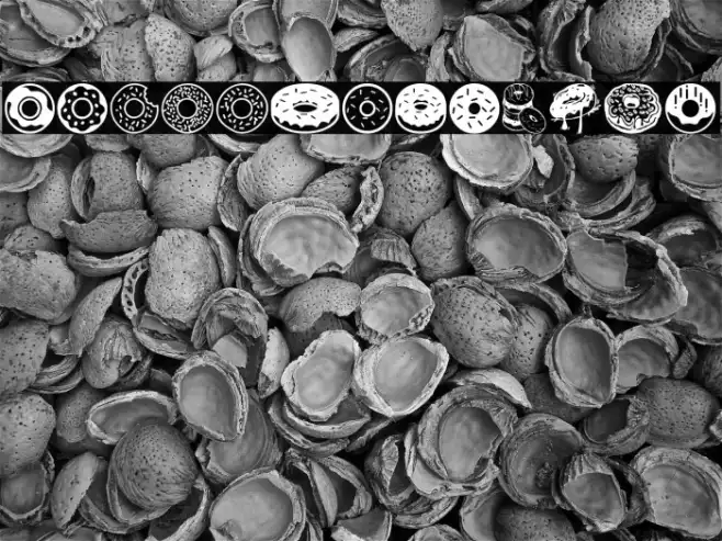 Donuts Icons Example 1