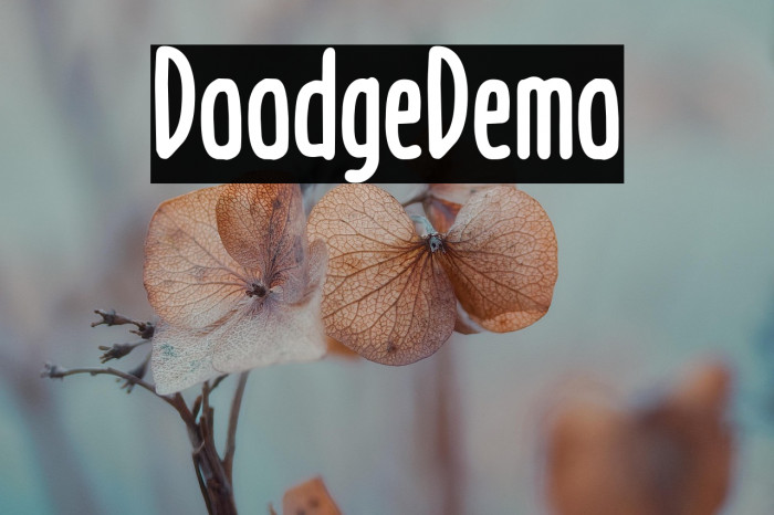 Doodge_Demo Example 3
