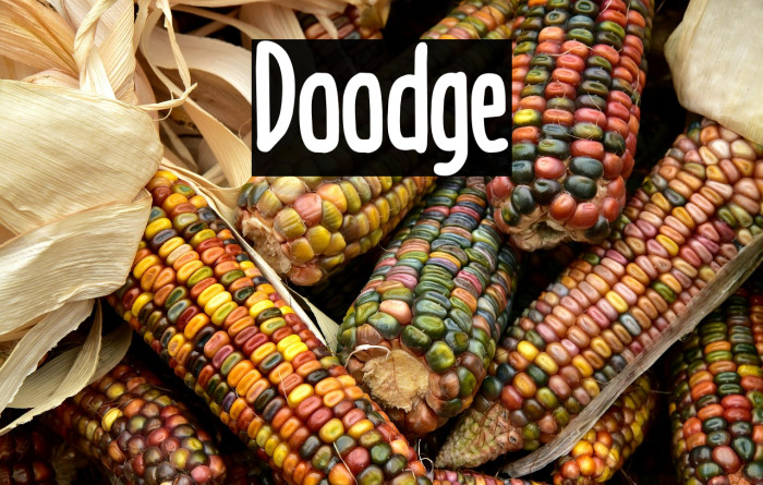 Doodge Example 1