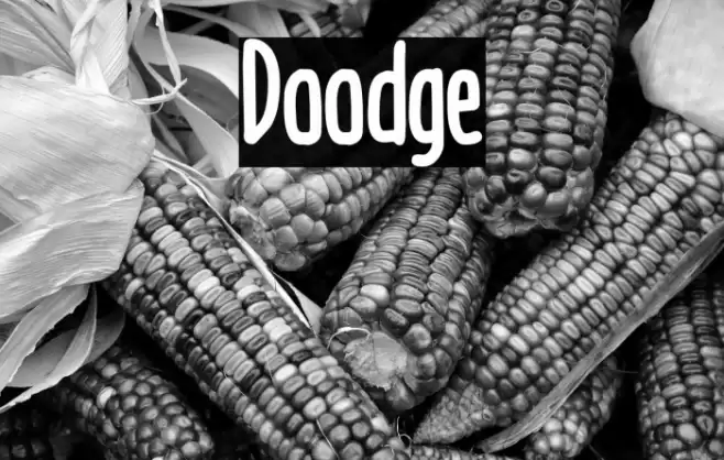 Doodge Font examples