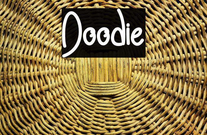 Doodie Example 2