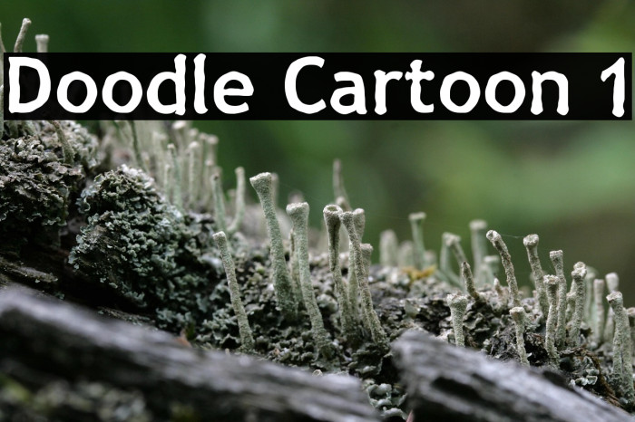 Doodle Cartoon 1 Example 3