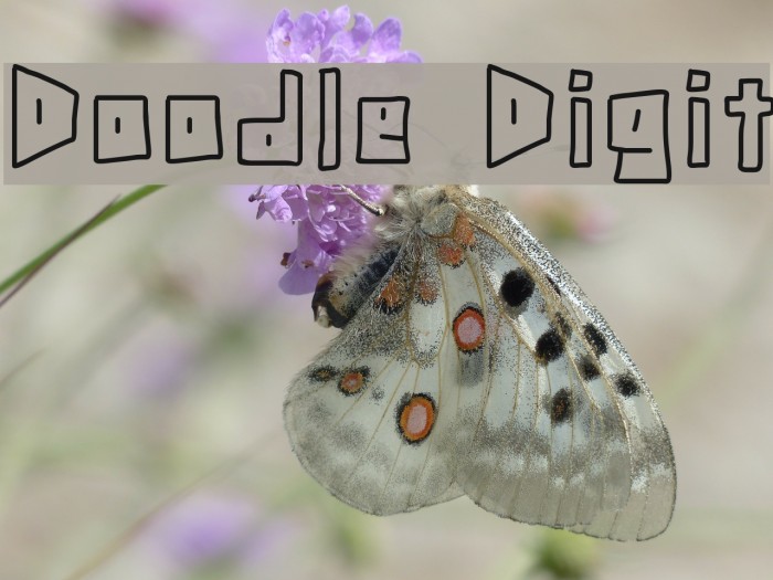 Doodle Digit Font examples