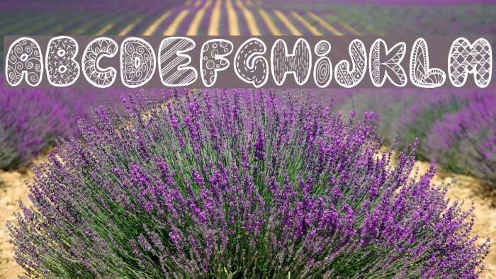 Doodle Gum Example 1