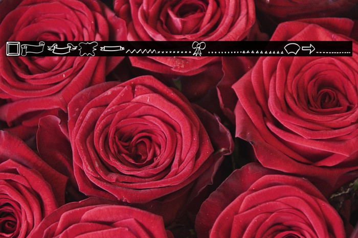 Doodle Shapes Example 3