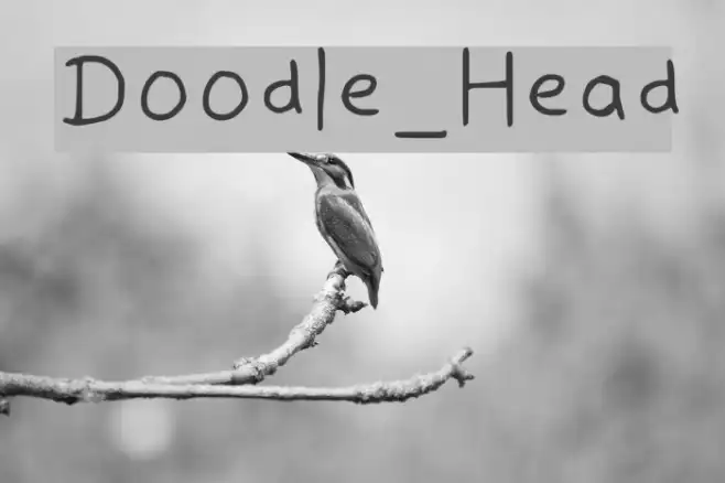 Doodle_Head Example 2