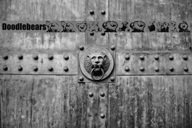 Doodlebears Font examples