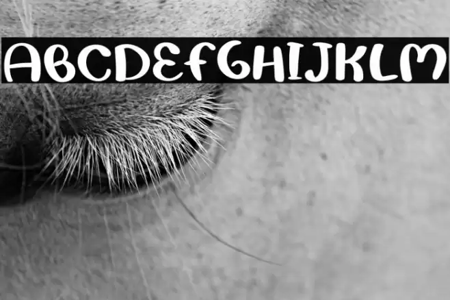 Doodles Font examples