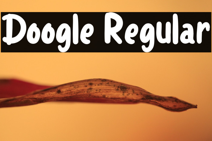 Doogle Regular Example 2