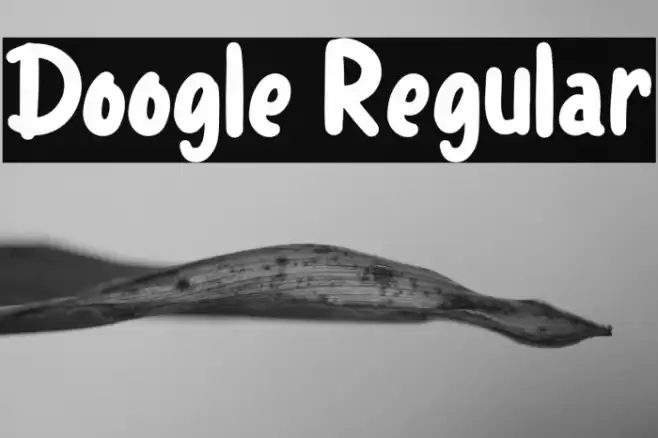 Doogle Regular Font examples
