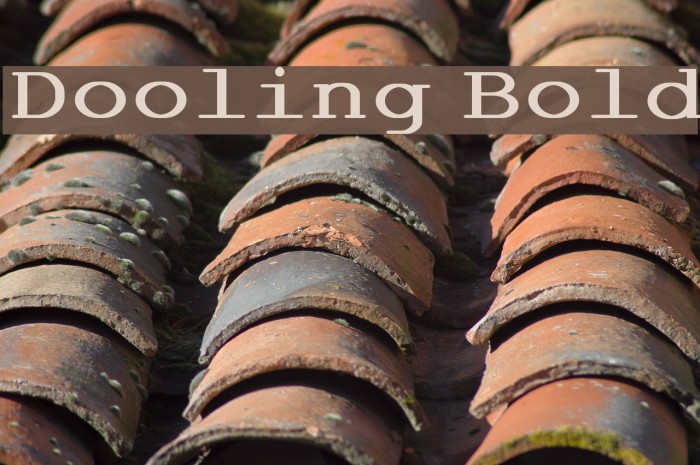 Dooling Bold Font examples