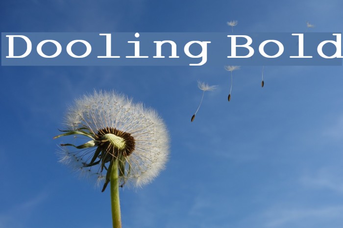 Dooling Bold Font examples