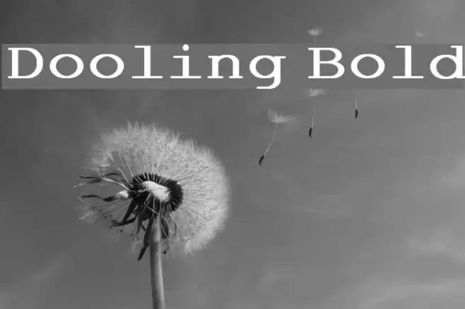 Dooling Bold Example 3