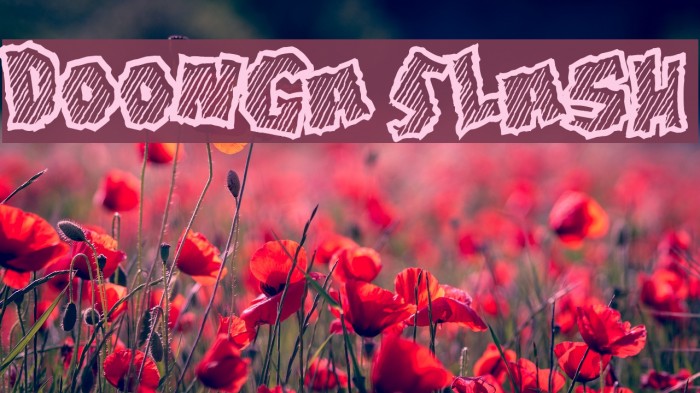 Doonga Slash Font examples