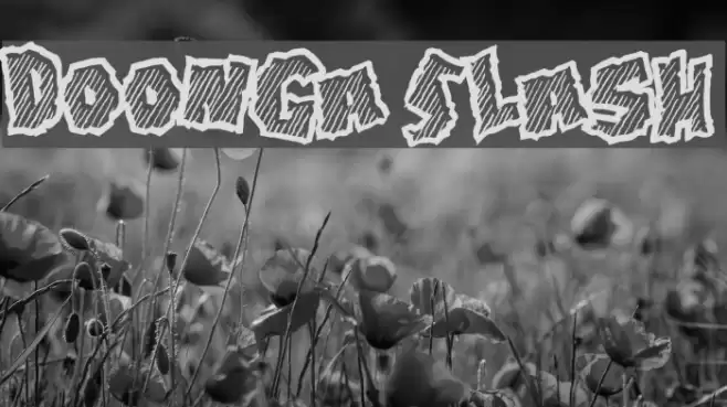 Doonga Slash Font examples