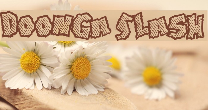 Doonga Slash Font examples
