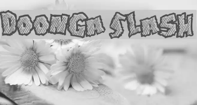 Doonga Slash Font examples