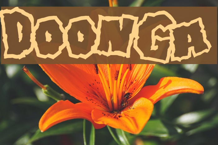 Doonga Font examples