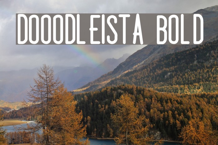 Dooodleista Bold Font examples
