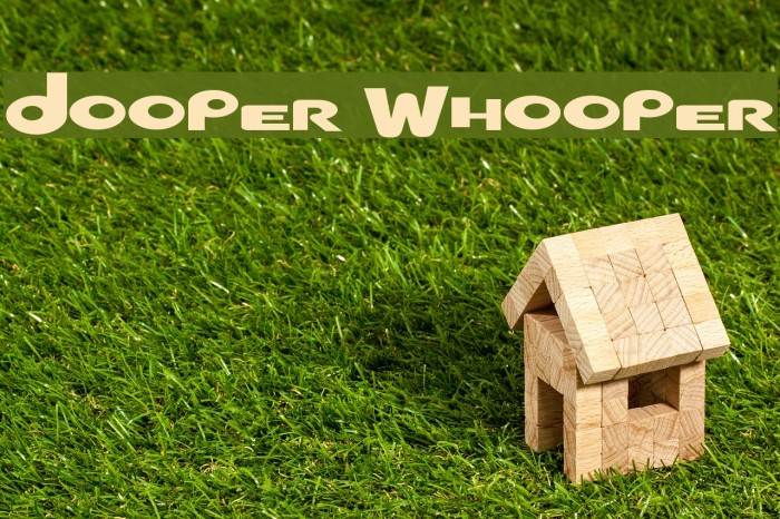 Dooper Whooper Font examples