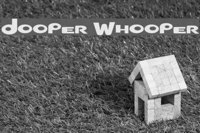 Dooper Whooper Example 2