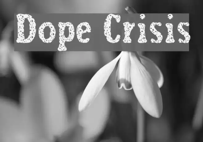 Dope Crisis Example 3