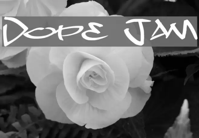 Dope Jam Font examples
