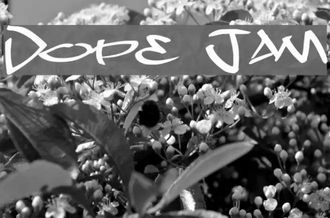 Dope Jam Font examples