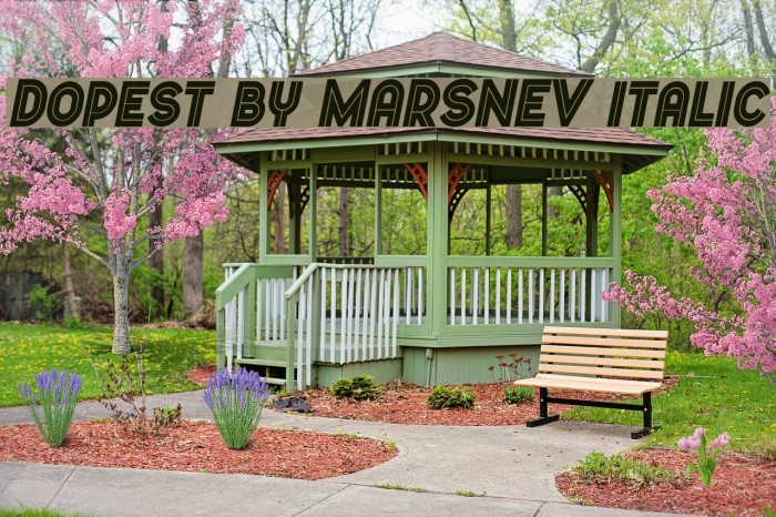 Dopest by MARSNEV italic Example 2