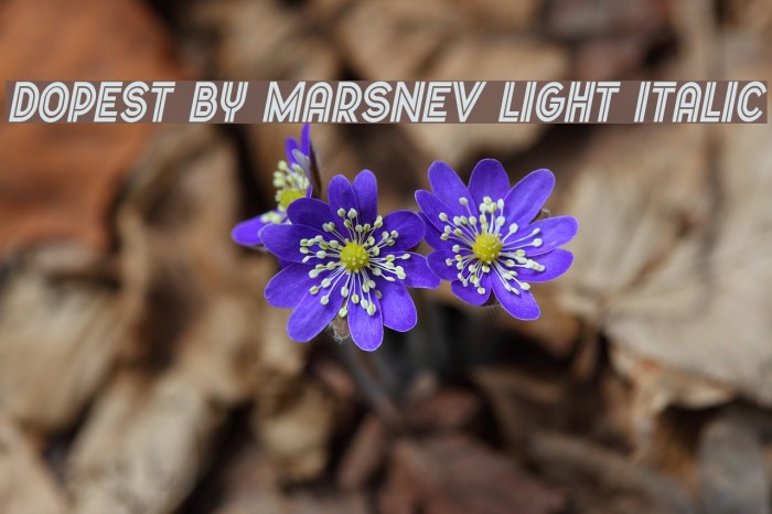 Dopest by MARSNEV light italic Example 2