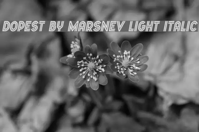Dopest by MARSNEV light italic Font examples