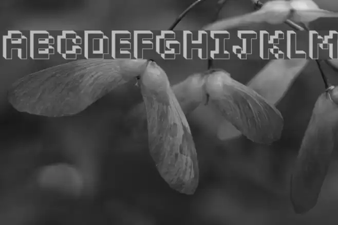 Dopil Schriftart examples