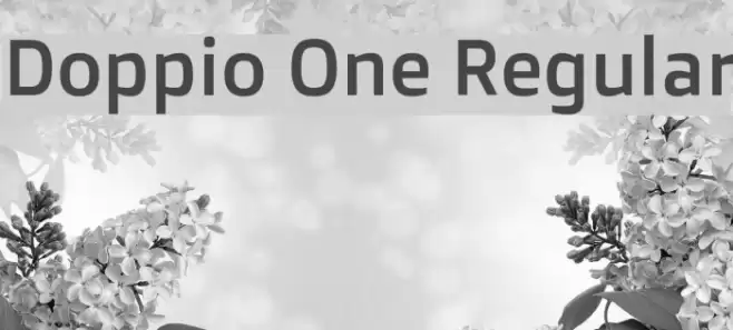 Doppio One Regular Font examples