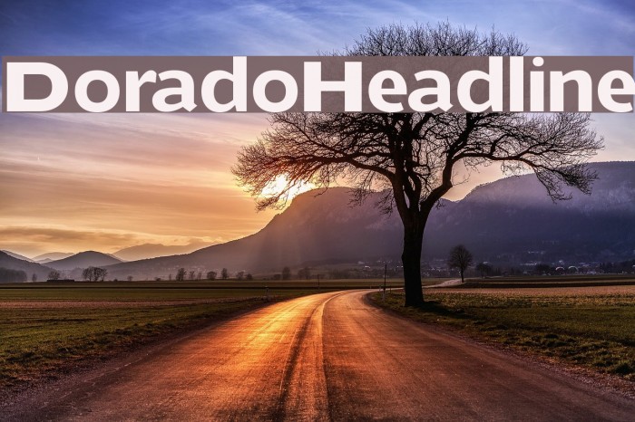 DoradoHeadline フォント examples