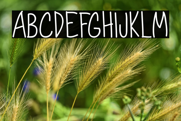 Dorathy  - Personal Use Only Example 1